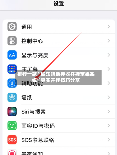 推荐一款“微乐辅助神器开挂苹果系统”真实开挂技巧分享-第1张图片
