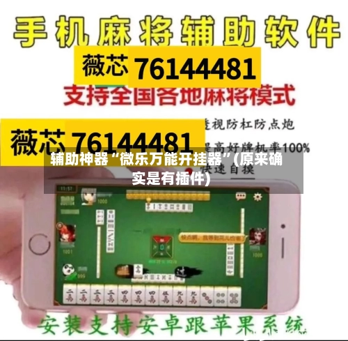 辅助神器“微乐万能开挂器”(原来确实是有插件)-第1张图片
