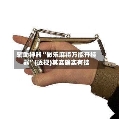 辅助神器“微乐麻将万能开挂器	”(透视)其实确实有挂-第1张图片