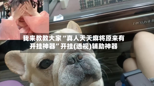 我来教教大家“真人天天麻将原来有开挂神器”开挂(透视)辅助神器-第1张图片