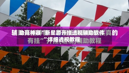 助赢神器“新星游开挂透视辅助软件”详细透视教程-第1张图片