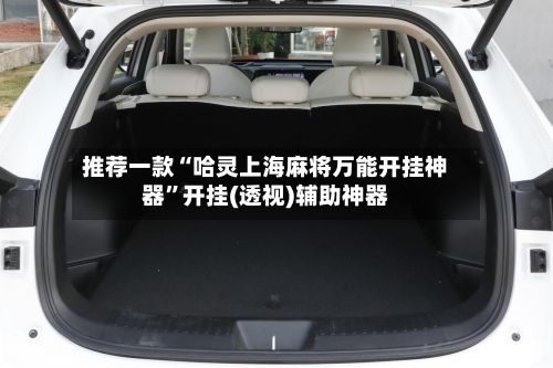 推荐一款“哈灵上海麻将万能开挂神器	”开挂(透视)辅助神器-第1张图片