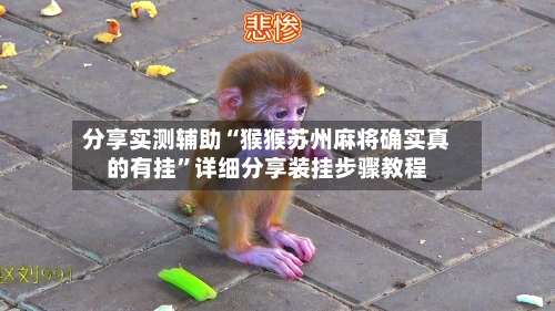 分享实测辅助“猴猴苏州麻将确实真的有挂”详细分享装挂步骤教程-第1张图片