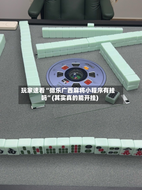 玩家速看“微乐广西麻将小程序有挂吗	”(其实真的能开挂)-第1张图片
