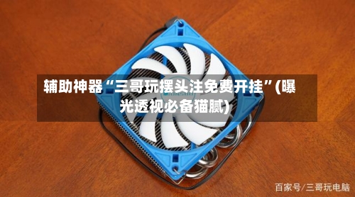 辅助神器“三哥玩摆头注免费开挂	”(曝光透视必备猫腻)-第1张图片