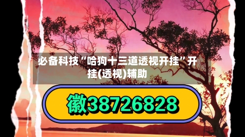 必备科技“哈狗十三道透视开挂”开挂(透视)辅助-第1张图片