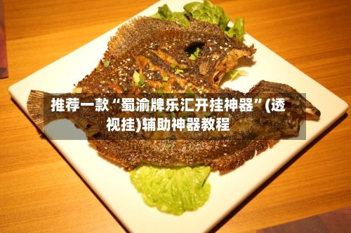 推荐一款“蜀渝牌乐汇开挂神器”(透视挂)辅助神器教程-第1张图片