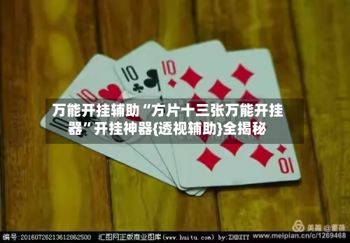 万能开挂辅助“方片十三张万能开挂器”开挂神器{透视辅助}全揭秘-第1张图片