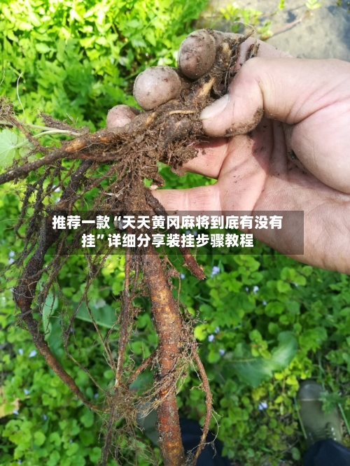 推荐一款“天天黄冈麻将到底有没有挂”详细分享装挂步骤教程-第1张图片