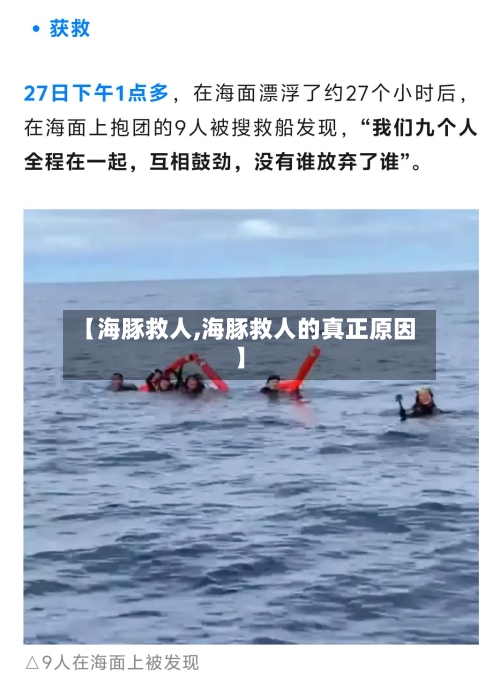 【海豚救人,海豚救人的真正原因】-第1张图片