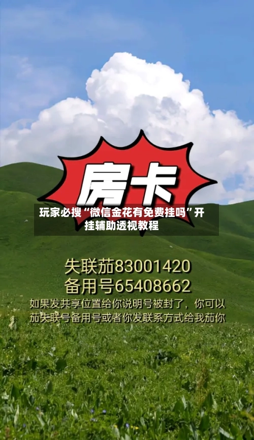 玩家必搜“微信金花有免费挂吗	”开挂辅助透视教程-第1张图片