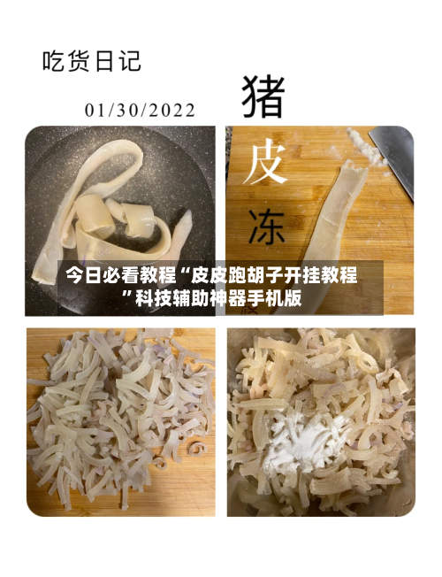 今日必看教程“皮皮跑胡子开挂教程”科技辅助神器手机版-第1张图片