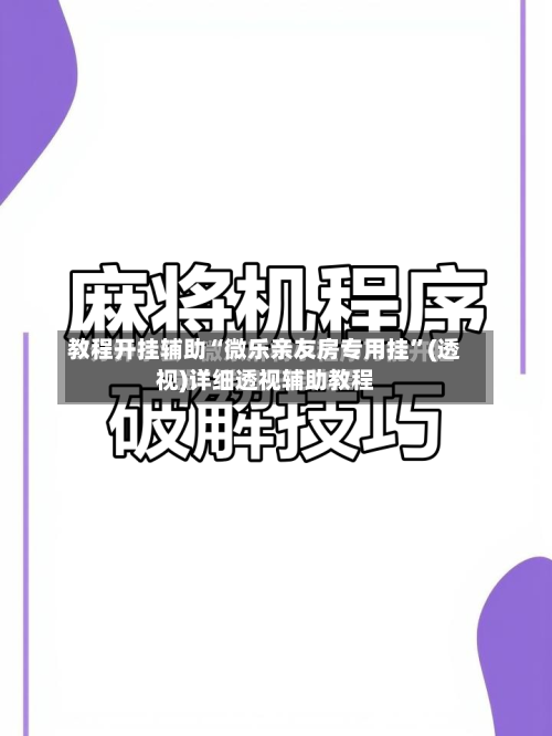 教程开挂辅助“微乐亲友房专用挂”(透视)详细透视辅助教程-第1张图片