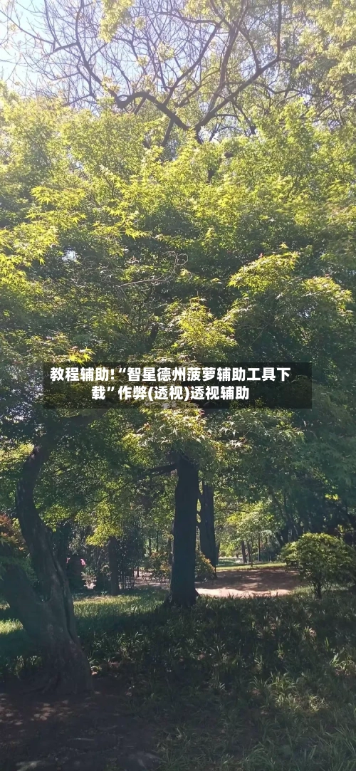 教程辅助!“智星德州菠萝辅助工具下载	”作弊(透视)透视辅助-第1张图片