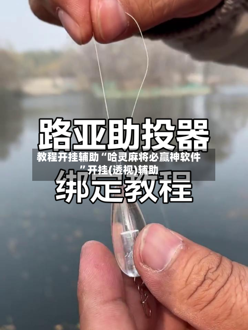 教程开挂辅助“哈灵麻将必赢神软件”开挂(透视)辅助-第1张图片