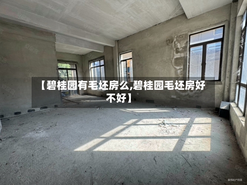 【碧桂园有毛坯房么,碧桂园毛坯房好不好】-第1张图片