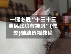 一键必胜“十三十三全民比鸡有挂吗	”(作弊)辅助透视教程-第1张图片