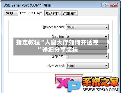 指定教程“人皇大厅如何开透视”详细分享装挂-第1张图片