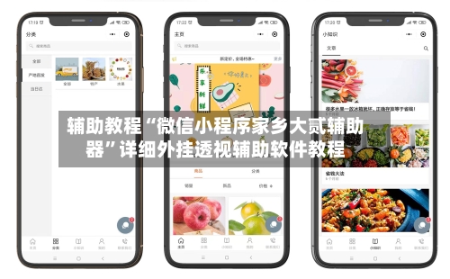 辅助教程“微信小程序家乡大贰辅助器”详细外挂透视辅助软件教程-第1张图片