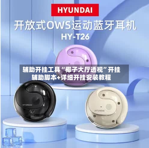 辅助开挂工具“椰子大厅透视”开挂辅助脚本+详细开挂安装教程-第1张图片