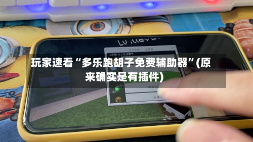 玩家速看“多乐跑胡子免费辅助器”(原来确实是有插件)-第1张图片