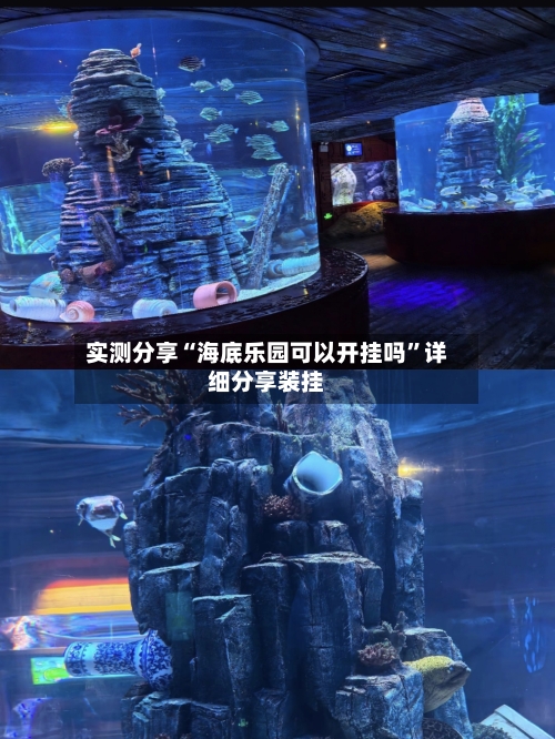 实测分享“海底乐园可以开挂吗	”详细分享装挂-第1张图片