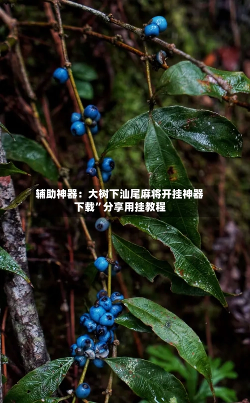 辅助神器：大树下汕尾麻将开挂神器下载”分享用挂教程-第1张图片