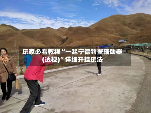 玩家必看教程“一起宁德钓蟹辅助器(透视)”详细开挂玩法-第1张图片