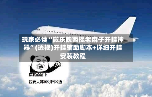 玩家必读“微乐陕西捉老麻子开挂神器	”(透视)开挂辅助脚本+详细开挂安装教程-第1张图片