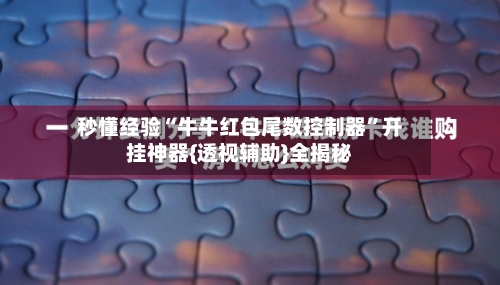 秒懂经验“牛牛红包尾数控制器”开挂神器{透视辅助}全揭秘-第1张图片