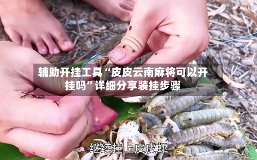 辅助开挂工具“皮皮云南麻将可以开挂吗”详细分享装挂步骤-第1张图片