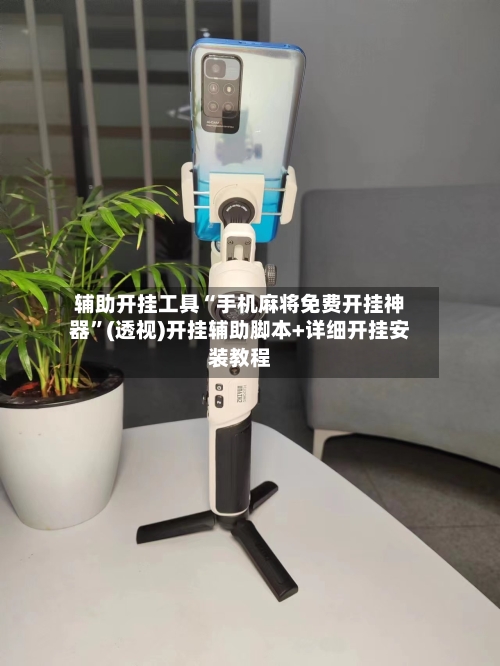 辅助开挂工具“手机麻将免费开挂神器	”(透视)开挂辅助脚本+详细开挂安装教程-第1张图片