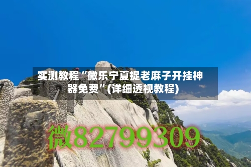 实测教程“微乐宁夏捉老麻子开挂神器免费”(详细透视教程)-第1张图片