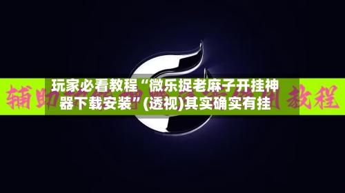 玩家必看教程“微乐捉老麻子开挂神器下载安装	”(透视)其实确实有挂-第1张图片