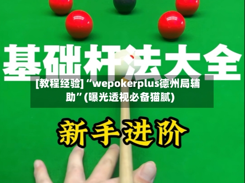 [教程经验]“wepokerplus德州局辅助	”(曝光透视必备猫腻)-第1张图片