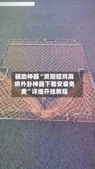 辅助神器“贵阳捉鸡麻将外卦神器下载安装免费”详细开挂教程-第1张图片