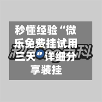 秒懂经验“微乐免费挂试用三天”详细分享装挂-第1张图片