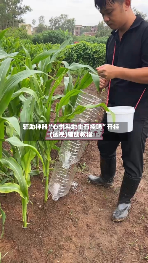 辅助神器“心悦斗地主有挂吗	”开挂(透视)辅助教程-第1张图片