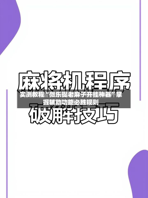 实测教程“微乐捉老麻子开挂神器	”掌握辅助功能必胜规则-第1张图片