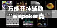 万能开挂辅助“wepoker真的有透视吗	”详细分享装挂步骤-第1张图片