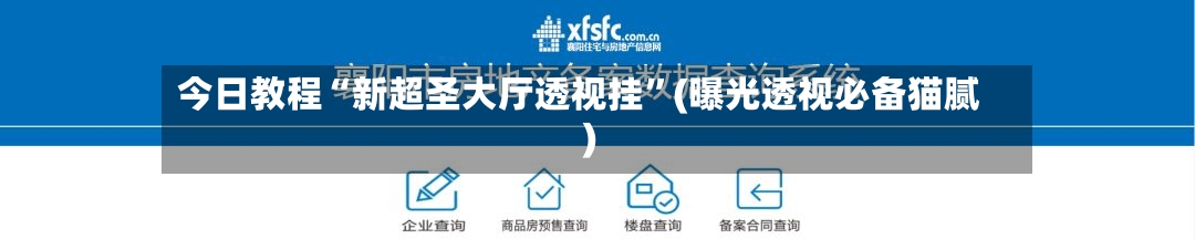 今日教程“新超圣大厅透视挂”(曝光透视必备猫腻)-第1张图片