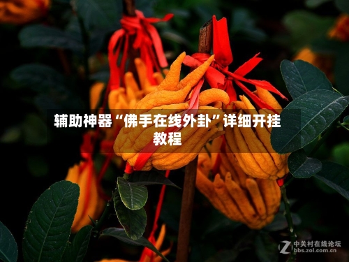 辅助神器“佛手在线外卦”详细开挂教程-第1张图片