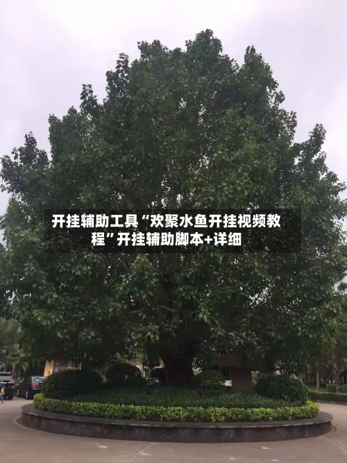 开挂辅助工具“欢聚水鱼开挂视频教程	”开挂辅助脚本+详细-第1张图片
