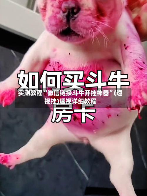 实测教程“微信链接斗牛开挂神器”(透视挂)透视详细教程-第1张图片