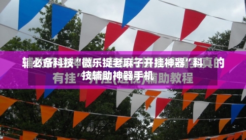 必备科技“微乐捉老麻子开挂神器	”科技辅助神器手机-第1张图片