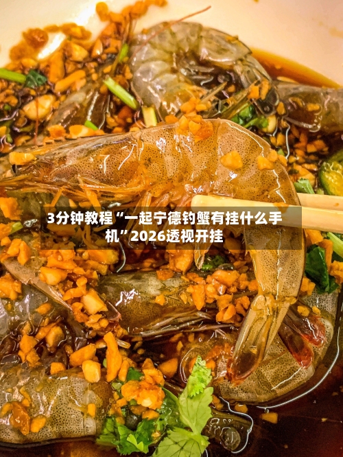 3分钟教程“一起宁德钓蟹有挂什么手机	”2026透视开挂-第1张图片