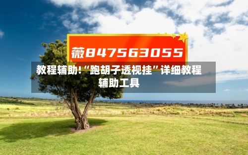 教程辅助!“跑胡子透视挂	”详细教程辅助工具-第1张图片