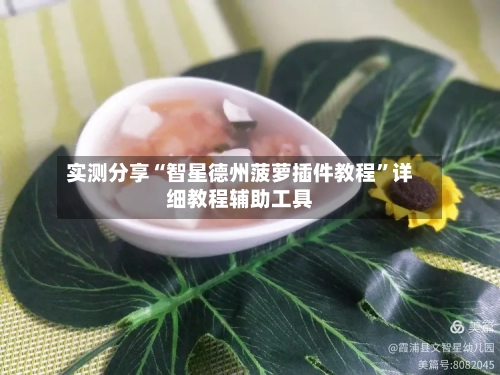 实测分享“智星德州菠萝插件教程”详细教程辅助工具-第1张图片