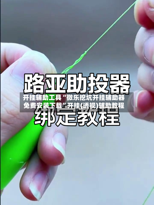 开挂辅助工具“微乐挖坑开挂辅助器免费安装下载	”开挂(透视)辅助教程-第1张图片