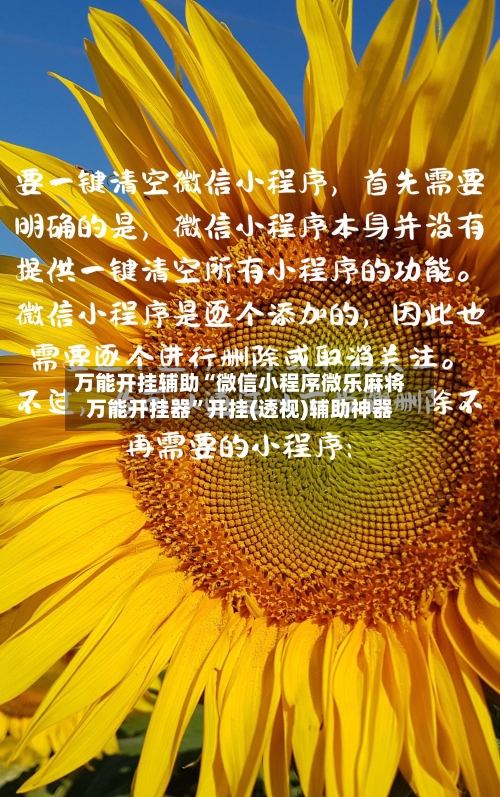 万能开挂辅助“微信小程序微乐麻将万能开挂器	”开挂(透视)辅助神器-第1张图片